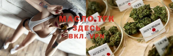 МДПВ Ельня
