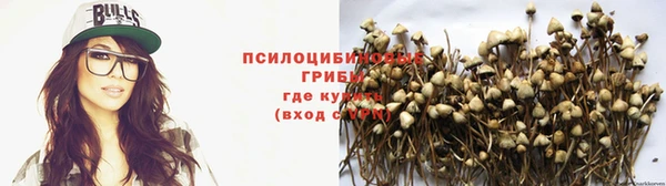 МДПВ Ельня