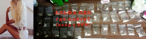 МДПВ Ельня
