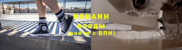 МДПВ Ельня