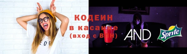 МДПВ Ельня
