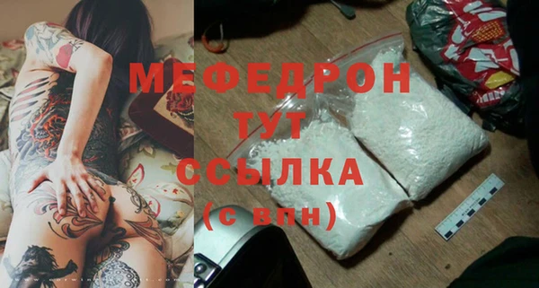 МДПВ Ельня