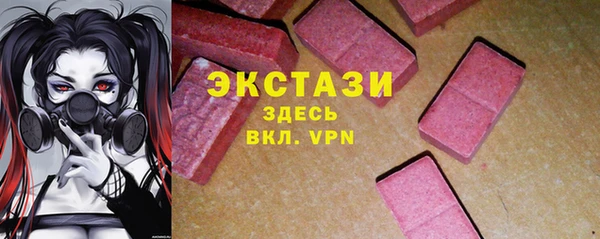 МДПВ Ельня