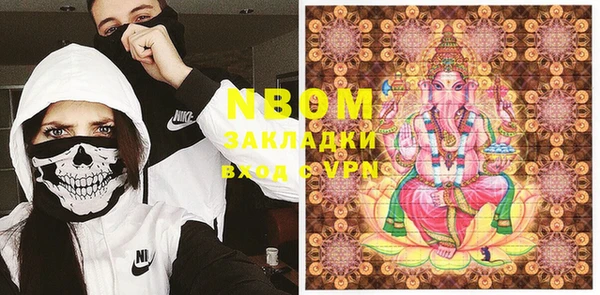 МДПВ Ельня