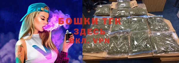 МДПВ Ельня