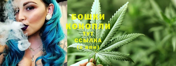 МДПВ Ельня