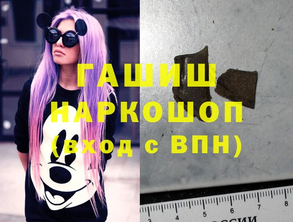 МДПВ Ельня