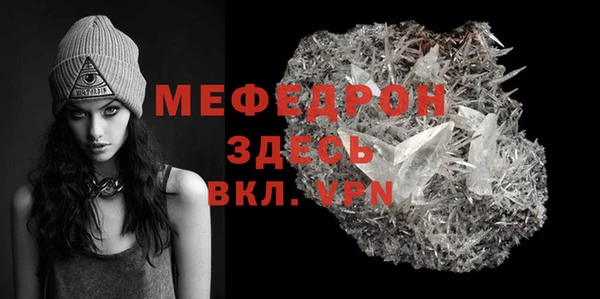 МДПВ Ельня