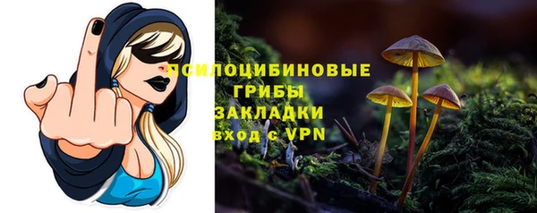 прущий лед Елабуга