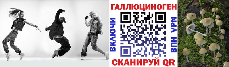 Галлюциногенные грибы Cubensis  Заводоуковск 