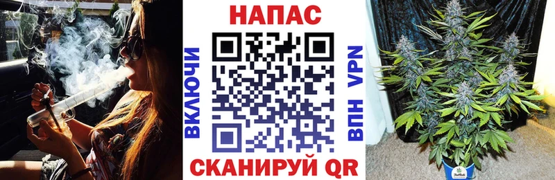 Каннабис VHQ  цена   Заводоуковск 